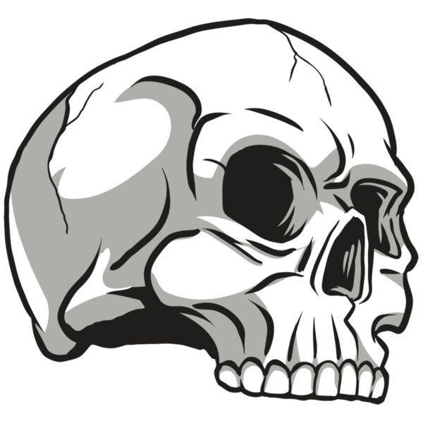 AR24 SKULL 10 RQC Thumbnail